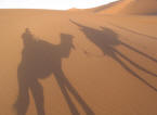 W�ste / Kamel - Landrover Marokko